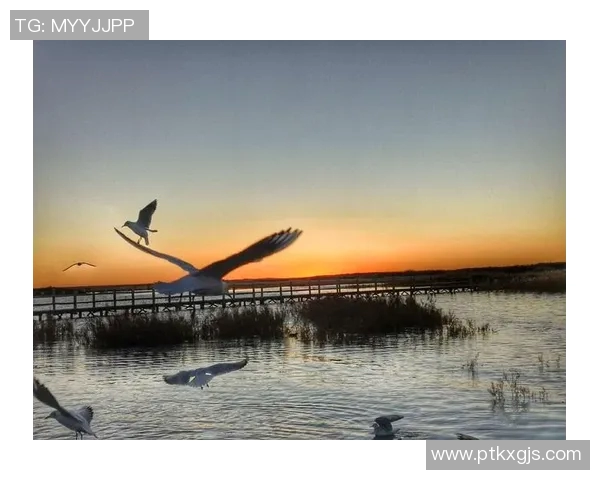 足球明星的青春女友：那些年我们一起追逐的梦想与爱情