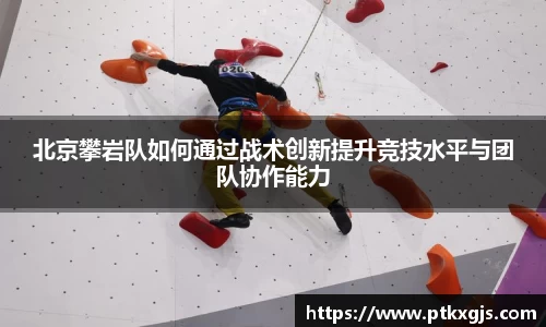 乐鱼体育